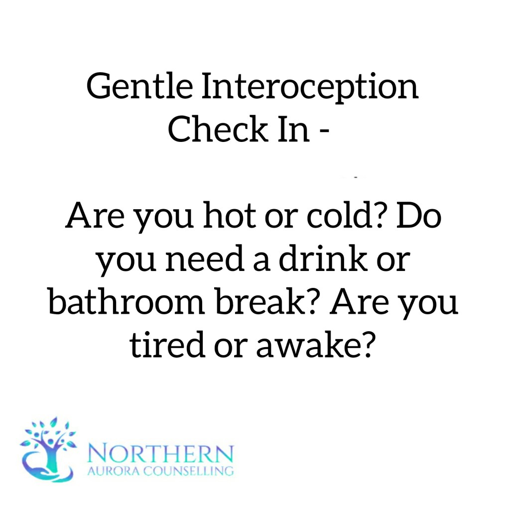 [Image Description: black text on a white background, with the purple and light blue gradient Northern Aurora logo in the bottom left - 

Gentle Interoception Check In -

Are you hot or cold? Do you need a drink or bathroom break? Are you tired or awake?]
